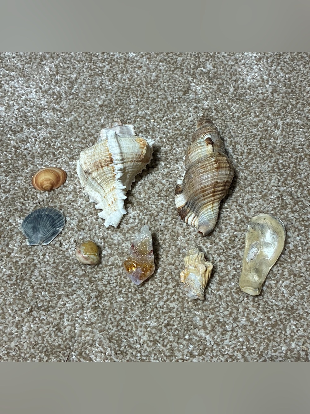 Assorted Seashells and Crystals Collection